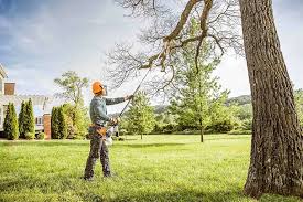 Best Tree Mulching  in Belmont Estates, VA